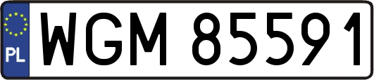 WGM85591