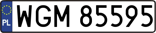 WGM85595
