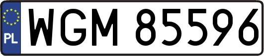 WGM85596