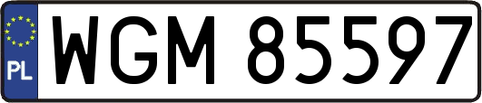 WGM85597