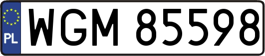 WGM85598
