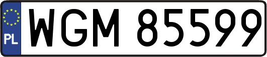WGM85599