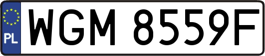 WGM8559F