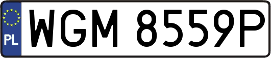 WGM8559P
