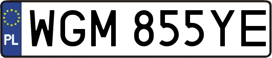 WGM855YE