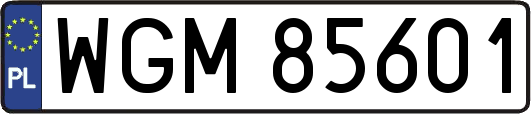 WGM85601