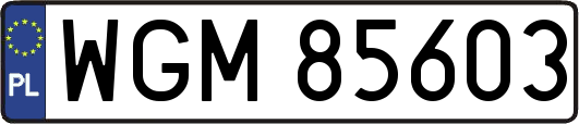 WGM85603