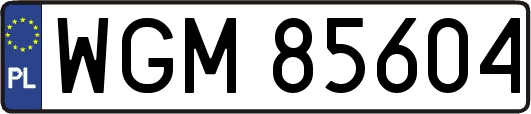 WGM85604