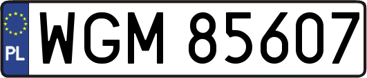 WGM85607