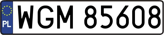 WGM85608