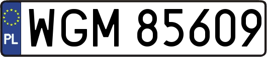 WGM85609