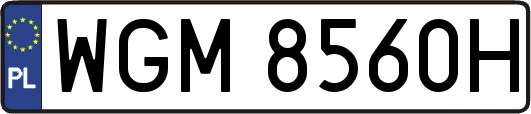 WGM8560H
