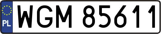 WGM85611
