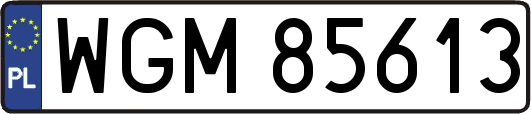 WGM85613