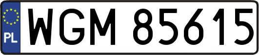 WGM85615