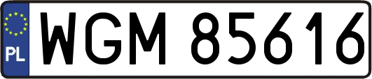 WGM85616
