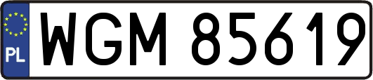 WGM85619