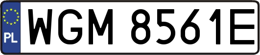 WGM8561E