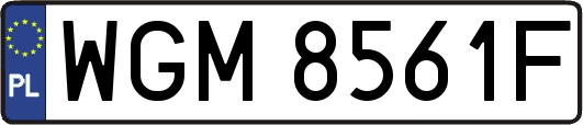 WGM8561F