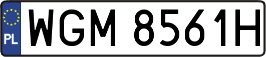 WGM8561H