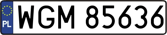 WGM85636