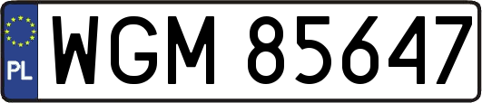 WGM85647