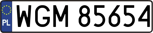 WGM85654