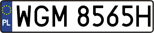 WGM8565H