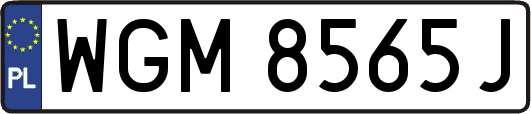 WGM8565J
