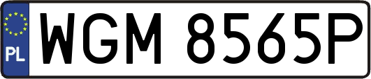 WGM8565P