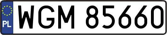WGM85660