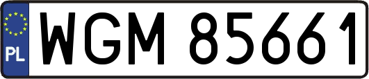 WGM85661