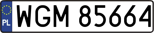 WGM85664
