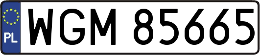 WGM85665