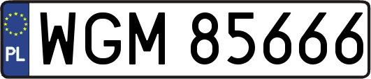 WGM85666