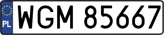 WGM85667