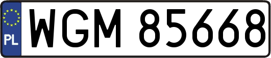 WGM85668