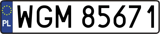 WGM85671