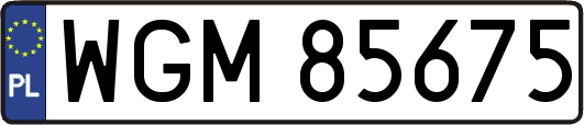 WGM85675