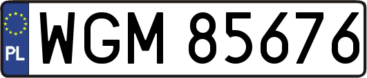 WGM85676