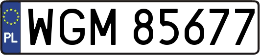 WGM85677