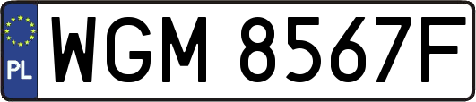 WGM8567F