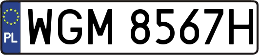 WGM8567H