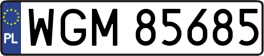 WGM85685