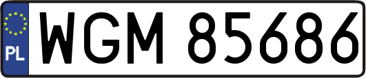 WGM85686