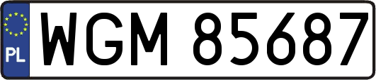 WGM85687