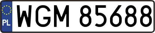 WGM85688