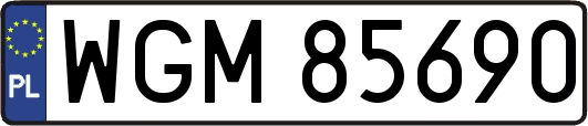 WGM85690