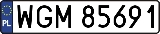 WGM85691