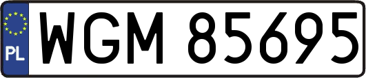WGM85695